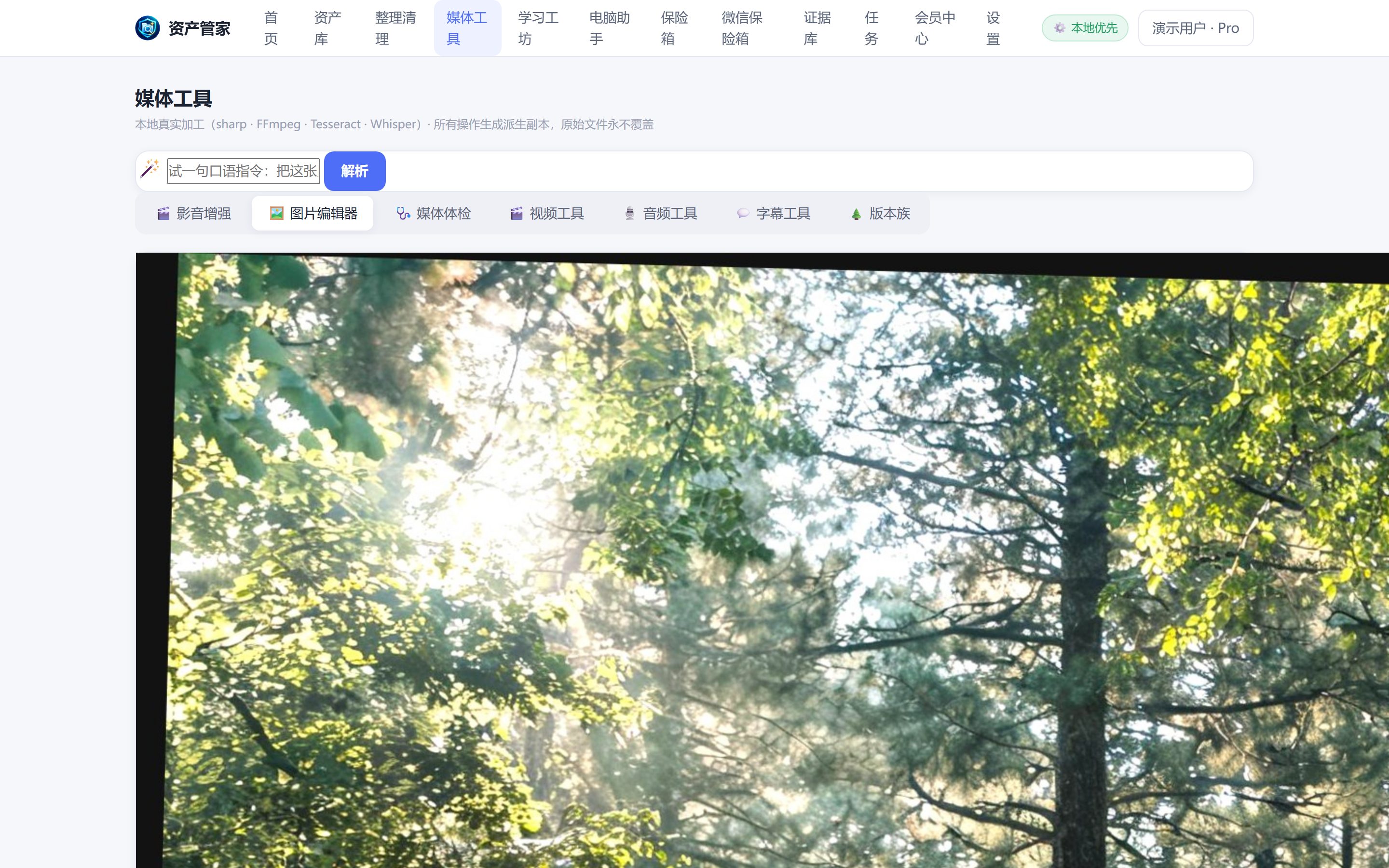 DataOS "Image Editor" real UI screenshot